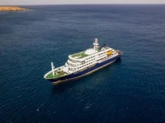 Hantavírus: OMS suspeita de rara transmissão entre humanos em navio