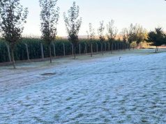 Iguatemi registra 1°C nesta manhã; frio continua e fim de semana terá chuva