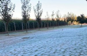 Iguatemi registra 1°C nesta manhã; frio continua e fim de semana terá chuva