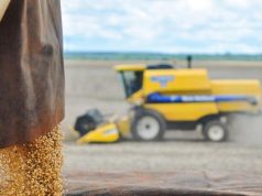 MS amplia protagonismo no agro brasileiro em ano de recordes para o setor