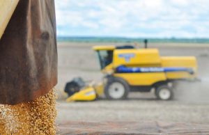 MS amplia protagonismo no agro brasileiro em ano de recordes para o setor