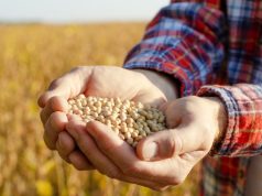 Mato Grosso do Sul registra alta de 59% nas exportações de soja em abril