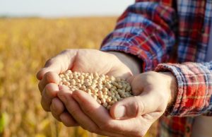 Mato Grosso do Sul registra alta de 59% nas exportações de soja em abril