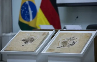 Brasil quer recuperar dinossauros e patrimônios que estão em 14 países