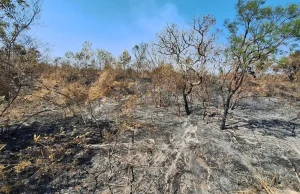 Mudanças climáticas já afetam 85% dos brasileiros, diz pesquisa