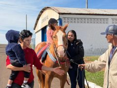 Naviraí inicia avaliações para implantação do projeto de equoterapia