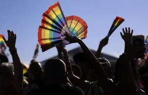 Rede Nacional vai reunir Conselhos dos Direitos das Pessoas LGBTQIA+