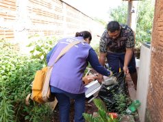 Vistoria em quase 6 mil imóveis encontra 64 focos do mosquito Aedes aegypti em Dourados