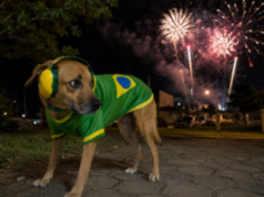 Vai festejar gol do Brasil? Legal, só NÃO precisa soltar fogos com barulho, né!