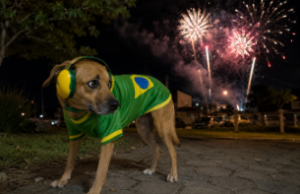 Vai festejar gol do Brasil? Legal, só NÃO precisa soltar fogos com barulho, né!