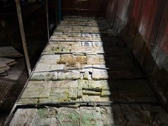 Ação integrada apreende mais de 4,4 toneladas de maconha escondidas em carreta na fronteira