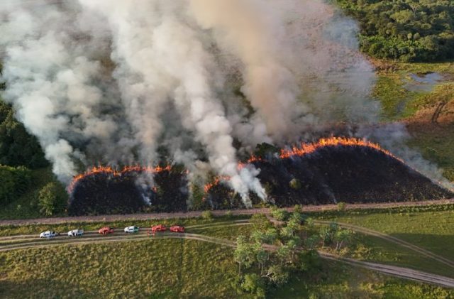 DJI_20260512164009_0022_D.JPG-730x480