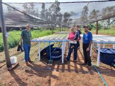 Tecnologia impulsiona renda na agricultura familiar de MS