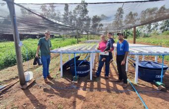 Tecnologia impulsiona renda na agricultura familiar de MS