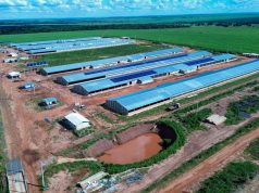Bello Alimentos inicia atividades em Naviraí dia 20 deste mês, anuncia prefeito