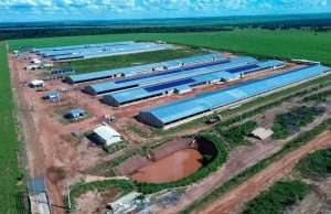 Bello Alimentos inicia atividades em Naviraí dia 20 deste mês, anuncia prefeito
