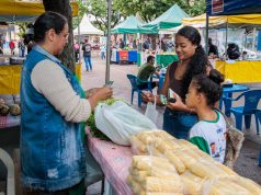 Estudantes de Naviraí recolhem material reciclável, recebem moeda social e compram alimentos