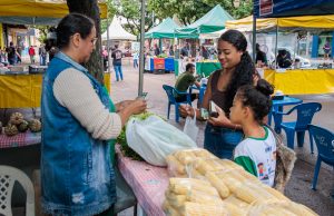 Estudantes de Naviraí recolhem material reciclável, recebem moeda social e compram alimentos