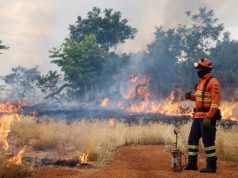 Bombeiros de MS reforçam treinamento para temporada de incêndios
