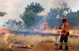 Bombeiros de MS reforçam treinamento para temporada de incêndios