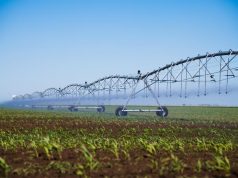 Irrigação transforma produtividade e garante mais segurança ao produtor rural