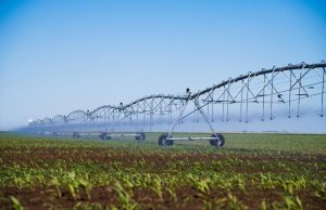 Irrigação transforma produtividade e garante mais segurança ao produtor rural