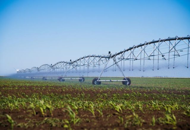 automated-farming-irrigation-sprinklers-system-on-2026-03-26-07-49-51-utc_0