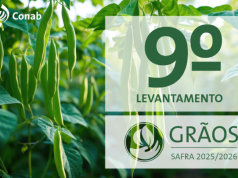 Conab: produção de grãos deve ser recorde com alta de 1,8% em relação à safra anterior