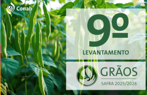 Conab: produção de grãos deve ser recorde com alta de 1,8% em relação à safra anterior