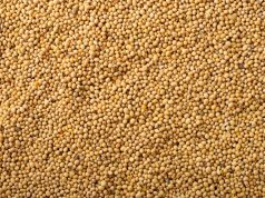 Soja e carne bovina impulsionam superávit de MS