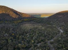 Produtores são remunerados por preservar o Pantanal