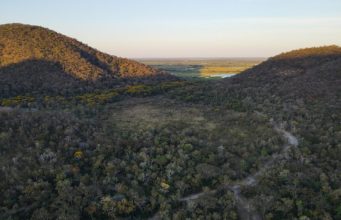 Produtores são remunerados por preservar o Pantanal