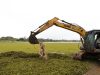 Após reportagem de ´O Progresso´, prefeitura inicia limpeza de lagos tomados por planta aquática
