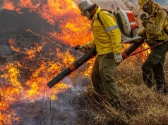 Governo Federal repassa R$ 337 milhões para combate a incêndios e desmatamento