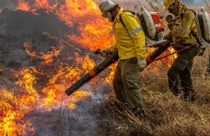 Governo Federal repassa R$ 337 milhões para combate a incêndios e desmatamento