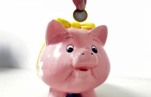 Poupança tem entrada líquida de R$ 2,6 bilhões em maio