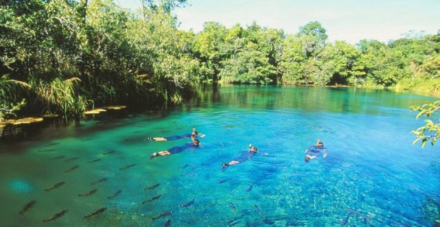 rio-formoso2-768x397