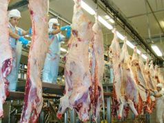 Tarifa dos EUA tem impacto menor que o esperado para o agro de MS
