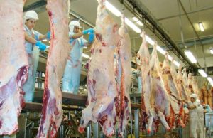 Tarifa dos EUA tem impacto menor que o esperado para o agro de MS