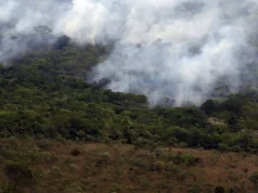Copernicus: emissão global de gases por incêndios é a menor em 24 anos