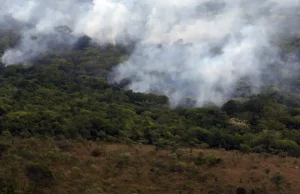 Copernicus: emissão global de gases por incêndios é a menor em 24 anos