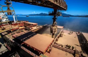 Soja brasileira deve bater recorde de exportação na safra 2026/27