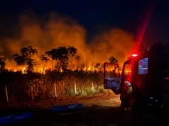 Incêndio queima área equivalente a 129 campos de futebol em Bela Vista