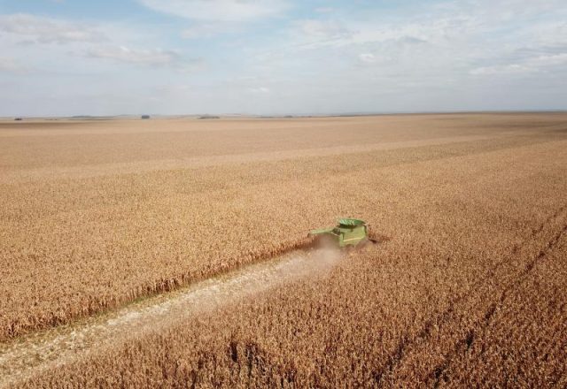 DJI_0250_0