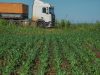 Estudo analisa os impactos da infraestrutura logística sobre a produção agrícola de MS