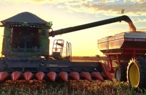 Crédito rural registra redução nas contratações ao final do Plano Safra 2025/26