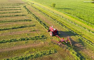 Medida Provisória institui medidas de apoio a produtores rurais afetados por eventos climáticos