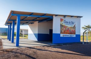 Em Naviraí, Casa do Mel projeta beneficiar 12 toneladas por ano