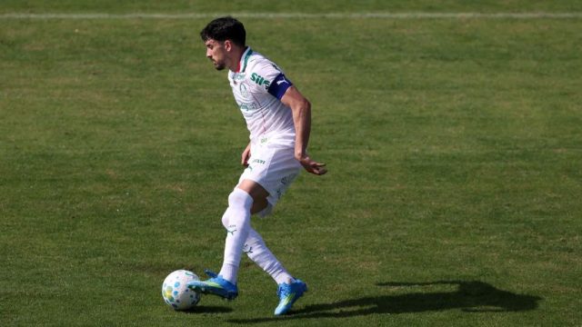 Piquerez Palmeiras