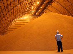 Alta da soja melhora comercialização em MS